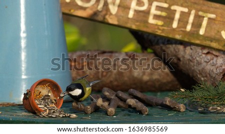 The main subject is  a blue tit which is nearby looking at the food in a pot by a blue water jug. There are two logs in the centre of the picture, some rusty keys and a wooden sign.