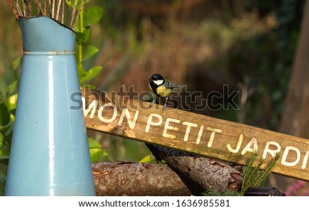 The main subject is the sign made of wood which reads "mon petit garden" a blue tit is nearby looking at the food in a pot by a blue water jug. There are two logs in the centre of the picture