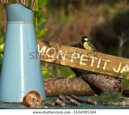 The main subject is the sign made of wood which reads "mon petit garden" a blue tit is nearby looking at the food in a pot by a blue water jug. There are two logs in the centre of the picture