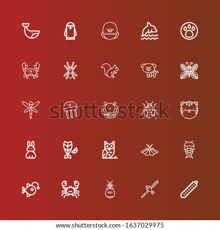 Editable 25 wildlife icons for web and mobile. Set of wildlife included icons line Caterpillar, Fish, Ant, Crab, Anglerfish, Insect, Moth, Owl, Rabbit, Tiger, Ladybug, Butterfly on red