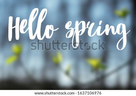 Hello spring text handwritten on blue blurred background of spring sky and fresh green leaves on branch in sunny spring woods. Welcome springtime. Calligraphy text sign