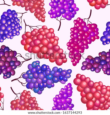 Red purple grape branches vector seamless pattern. Wine fruit, grape vine stylized textile print design. Fresh juicy vegetarian organic food. Summer fluit pattern. 
