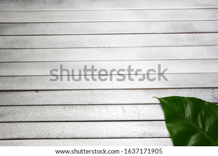 leaf frame right down on white wooden table
