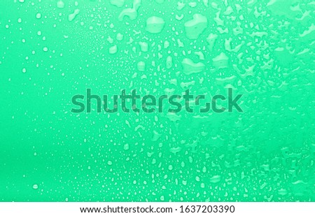 Drops of water on a color background. Selective focus. Green.