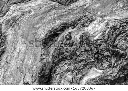 black and white texture. marble look alike wood background
