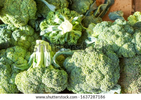 natural small brunches of broccoli Royalty-Free Stock Photo #1637287186