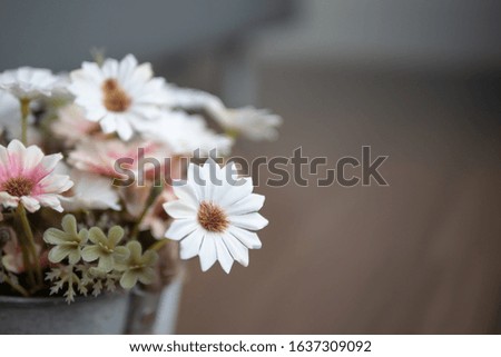 Close up white and pink flowers on the wooden table with pollen. Blooming of fake flower with copy space for text. Select focus shallow depth of field and blurred background.