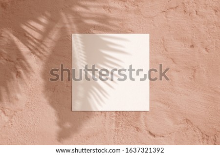 Summer modern sunlight stationery mockup scene. Flat lay top view blank greeting card with palm leaf and branches shadow overlay on grunge terracotta background.