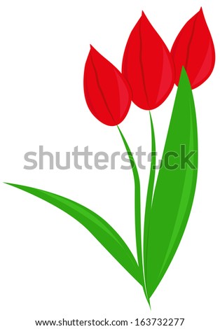 Bouquet of three red tulips with green leaves