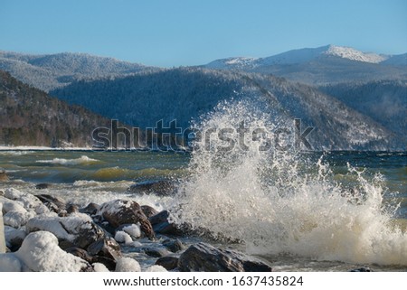 Russia. South Of Western Siberia, Altai Mountains. Splashes of autumn storm on the shore of the unsettled Teletskoye lake.