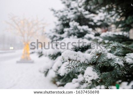 White fluffy snow on blue fir needles.  Snowflakes slowly fall to the ground.  Contrast of a living tree with an artificial tree in the background with LED lighting.  Winter in the big city.