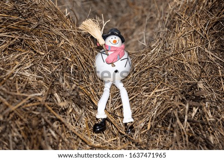 Smile snowman in the woods