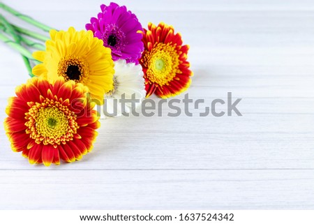 Gerbera flowers bouquet on a white table. Women's Day.
