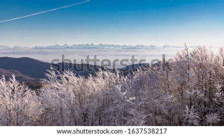 View from the Elsäser Belchen to the Swiss Alps