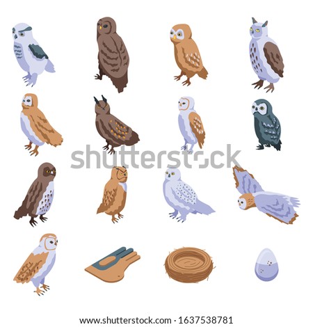 Owl icons set. Isometric set of owl vector icons for web design isolated on white background