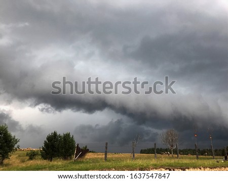 dark clouds over a field with yellow and green vegetation on a summer day