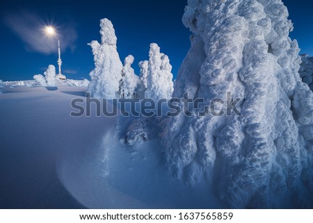 Winter in Jeseniky Mountains in Czech Republic. A huge amounts of snow in photography.