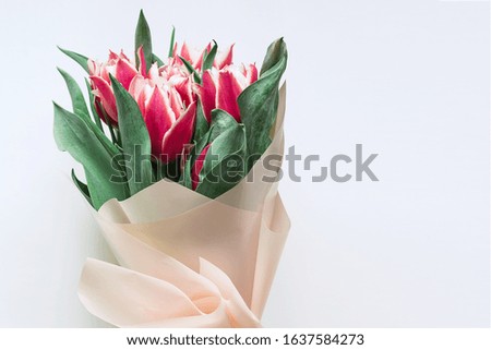 Floral background with copy space. Flowers in bloom. Close-up beautiful bouquet of  tulips. Spring concept. Floral greeting card.