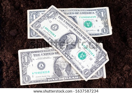 cash American dollars banknotes on the black fertile soil of an agricultural field, close-up