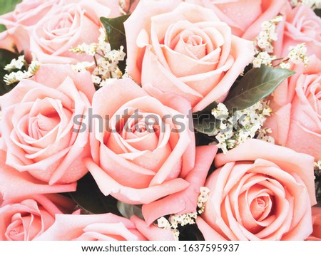 bouquet of roses in vintage style for background, mothers day, valentines day