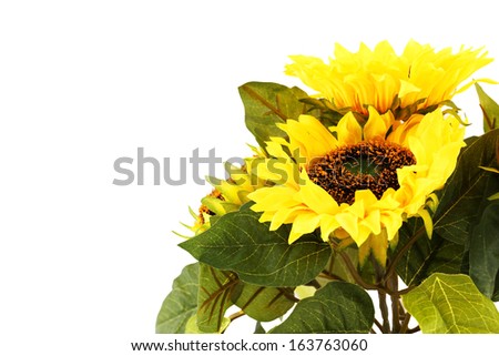 Sunflowers in vase isolated on white background.