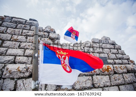 The national flag of Serbia on mountains peak, landscape foggy winter day 