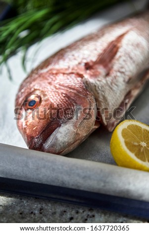 Food photography of a fresh red snapper laid out on a metal tray with fresh herbs and lemon being prepared for cooking in a kitchen setting