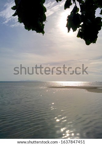 The sun shines through the clouds and the leaves then fall on the sea of Samui, Thailand.