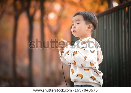 A Chinese boy playing with a branch against the golden leaves in autumn