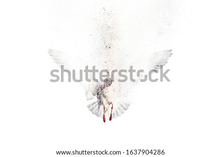 Birds. Abstract nature. Dispersion, splatter effect. White background.