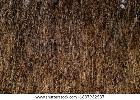 natural hay texture for background