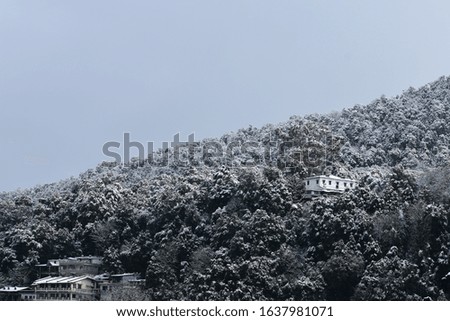Beautiful snow picture in nainital uttarakhand india