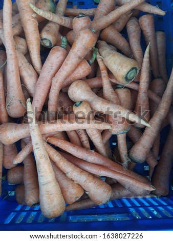 Macro photo spring food vegetable carrot. Texture background of fresh large orange carrots. Product image vegetable root carrot.