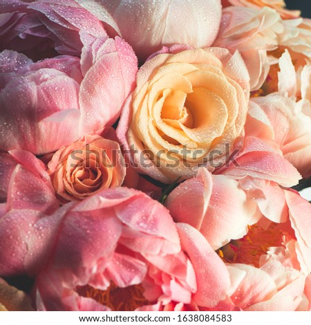 Fresh bunch of pink peonies and roses. Toned image, card Concept, pastel colors, close up