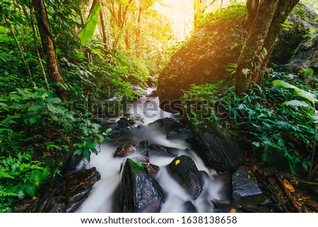 Flowing river through a jungle with green foliage. 