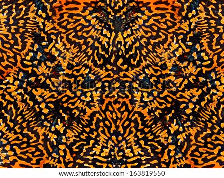 awesome colorful Tiger skin pattern background 