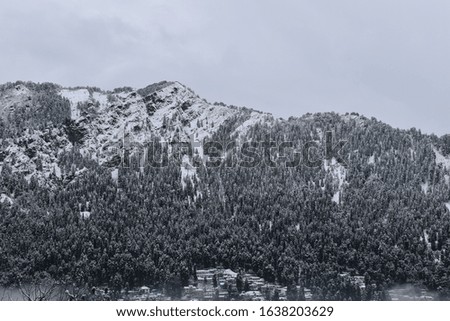 Beautiful mountain and trees covered with white snow