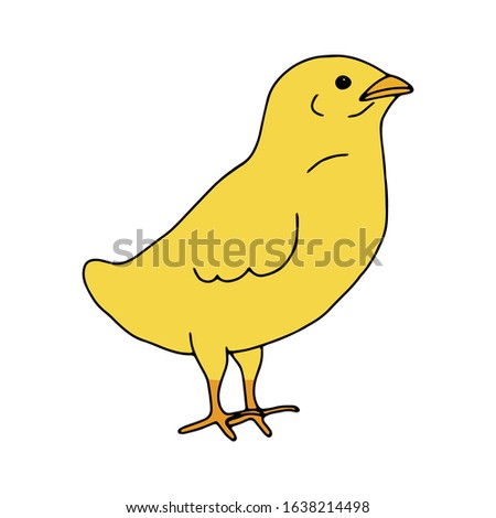 Chicken yellow hand drawn line drawing. Contour drawing.Scrawl.Drawing for the Easter holiday. Little chicken.Bird house.Vector illustration