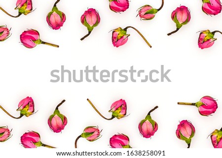 Dry bonfire roses isolated on a white background. Greeting card for the holiday. Top view, copy space.
