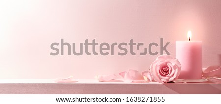 Pink Roses and candle on a pink background