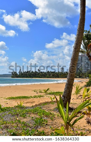 View of the sea through the palm trees on Luquillo beach Puerto Rico. Ideal for tourism, backgrounds with space for copy.