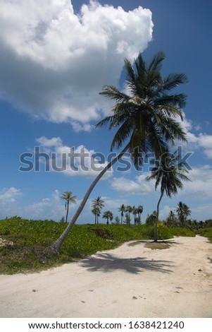 French Leave Beach, South Eleuthera Island, Bahamas.