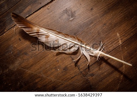 Quill pen for writing on a wooden table