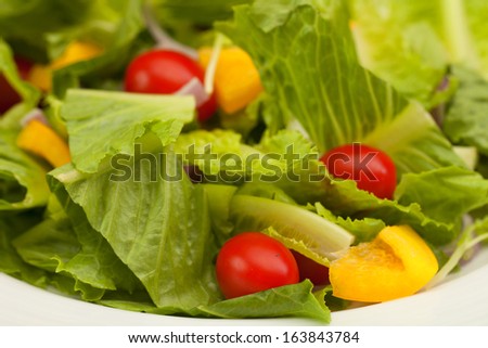 Salads, vegetables and fruits.