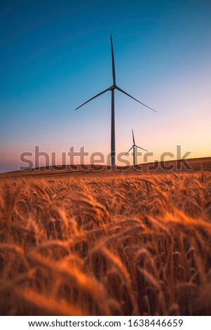 Two wind turbines rotate around generating energy in the middle of a wheat field.  Wind farms, are becoming an increasingly important source of intermittent renewable energy  Royalty-Free Stock Photo #1638446659