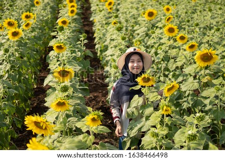 Middle east girl with hijab and a hat enjoying holiday in the sunflower field at Khai Yai Lopburi Thailand
