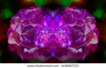 Abstract rose flower purple pattern