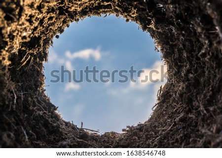 Burrow with the view from the hole towards the sky as a special symbol for planting, mouse hole or molehill Royalty-Free Stock Photo #1638546748