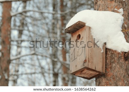 Wooden birdhouse hanging on tree in park on clear winter day. Concept of caring for animals, helping birds in winter time. Stock photo with empty space for text.