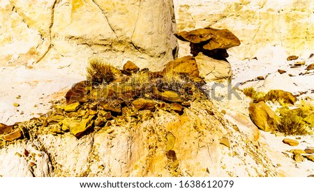 Toadstool Hoodoos against the background of the colorful sandstone mountains in Grand Staircase-Escalante Monument in Utah, United States